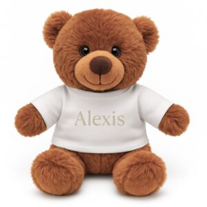 Personalised Boy's Teddy Bear